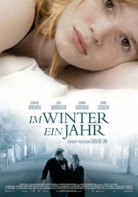 Зимой будет год (2008)